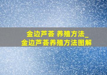 金边芦荟 养殖方法_金边芦荟养殖方法图解